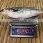 frozen grey mullet with small size
