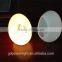 LED light crafts with remote control YXF-1420C