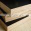 Cheap price black film faced plywood linyi factory