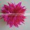 Fashion feather headpiece /elegant fascinator/fuschia fascinator/fuschia headpiece