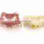 medical science typhoon dental education models