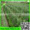 Strong Durable Trellis Netting Pea & Bean Support Net Tent Grow Net