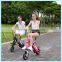 aluminium alloy frame brushless motor mini folding chinese electric bike