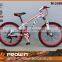 24 WOMEN MOUNTAIN BIKEDOUBLE DISC BRAKE MTB BIKE (M-24001)
