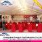 Made in guangzhou China special discount wedding decorations tents