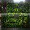 plant wall, vertical garden green wall plastic plants walls indoor and outddor use Quality Choice