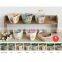 Promotional american football gifts DIY mini bonsai wholesale imported gifts , buy online gifts