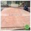 top quality plywood furniture in plb commercial plywood at wholesale price