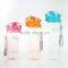 650ML BPA Free plastic sport Infuser water bottle