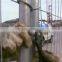 good quality Waterproof 2100*2400 used wrought iron fencing for sale wrought iron  fences for houses