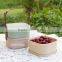 Three Layers Plastic Food Container With Lid