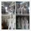 Hot Selling Attractive Full Body Female Mannequin
