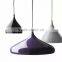Hanging Pendant Lamp Light With Remote Shade