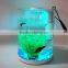 Fashionable Personlized High Transparent Acrylic Fish Tank With Light Factory Wholesale