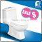 Water-saving Bathroom Siphonic Toilet