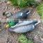 Plastic Floating Mandarin Duck of Hunting Decoy