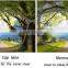 CR39 1.499/1.56 flat/round top UC/HC/HMC bifocal lenses