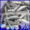 China IQF Frozen Round Scad Seafood Fish For Exporting