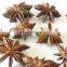 Best Quality New Crop Dried Star Aniseeds