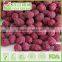 2015 Hot Sale Purple Sweet Potato Sunflower Kernels