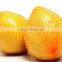 Fresh Fruit Pomelo fresh grapefruit
