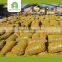 raw light pieces walnut kernels export price