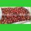 Jujube Type and Round Shape preserved fruit Red dates