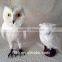 with bright eyes feathered owl decoration feather scare owl