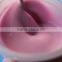 High Quality Dental Impression Material Chromatic Alginate