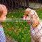 1 Inch Used Chain Link Dog Kennel Panels