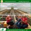 New products single tunnel film galvanized steel frame greenhouse