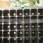 128 Cell Black PS Plastic Horticulture Plant Nursery Seed Starting Tray Manufactory Price