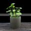 Simple style indoor and outdoor concrete planter concrete flower pot