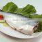 Pangasius Hypophthalmus
