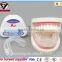 Shuoyang Dental Tooth Orthodontic Appliance Trainer Doctor Braces Mouthpieces For Teeth A1A2,D1D2