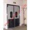 Swing Door