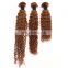 Virgin indian hair raw unprocessed BROWN cheap hair bundles