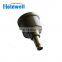 Delivery Valve 2418559045 For Fuel Pump P7100 Pump