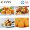 SY-800 admirable automatic arancin falafel pani puri making machine