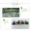 (7317) High quality agricultural greenhouse construction for planting pots