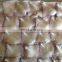 Raw material Wholesale squid wing in stock
