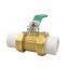 DN15 Two Piece Type Inner Thread Brass Ball Valve Inner Wire Non-Standard Copper Ball Valve