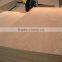China plywood for packing / plywood for furniture