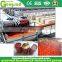 2-10T/H Concentrate tomato puree factory/ tomato paste processing plant