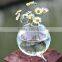 2015 hot-selling wrapped hanging clear vases