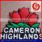 Cameron highlands promotion rubber fridge magnet