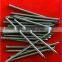 Professional Supplier Common Wire Nails
