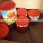 Canned tomato paste 210g with brix 28-30% easy open
