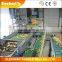 Plastic Conveyor Belt