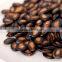 Water Melon Seeds
